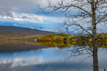 Shore from a lake with trees in the foreground