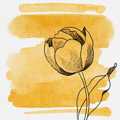 Line Art Hand Drawing Tulip Illustration on Watercolour Yellow Abstract Background Spring Poster