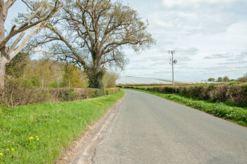 Fototapeta premium Springtime road in the countryside