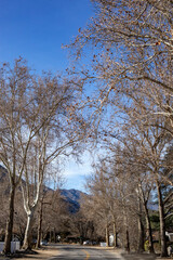 Mountain Village Street