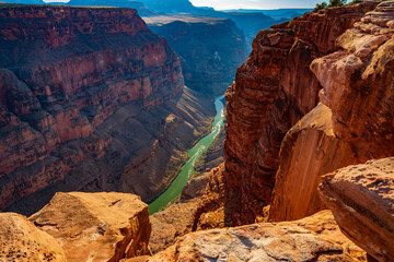 Colorado River from Toroweap Overlook