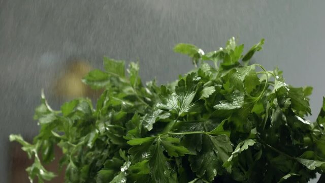 green, food, salade,coock, health, diet