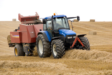 Obraz premium Harvest 4