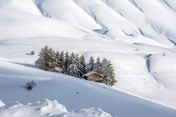 Fototapeta na wymiar Monti Sibillini - Casetta e boschetto nella neve