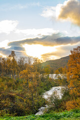 Trees with mountains in the background