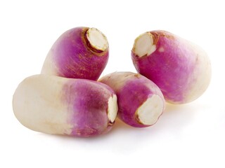 purple and white roots of radish - brassica campestris vegetable