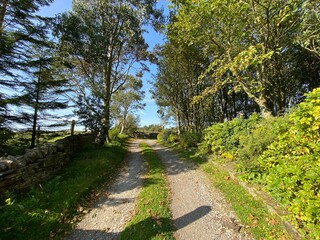 Farm track, with old trees, and a dry stone wall, leading from Deep Lane near Bradford, Yorkshire, UK