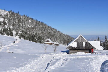 Fototapeta na wymiar Turyści na szlakach w Tatrach, Dolina Gąsienicowa w Tatrzańskim Parku Narodowym, zimowe szlaki turystyczne