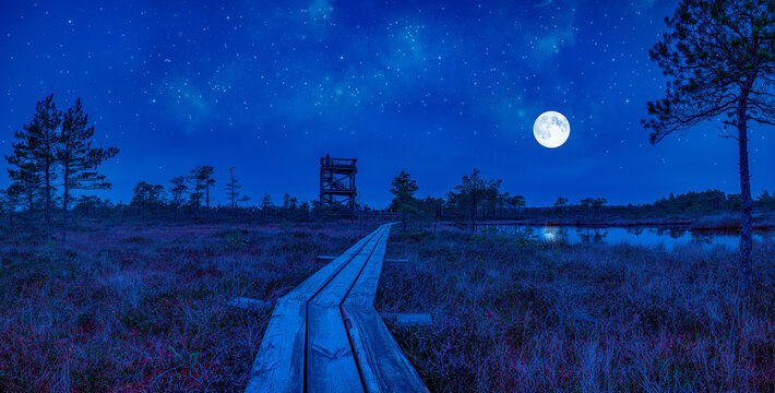 View of swamp with observation tower and wooden path, small ponds and pine trees at night with full moon and starry sky. Hiking trail with wooden walkway that goes across the moor in moonlight.