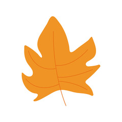 Naklejka premium orange color leave nature icon