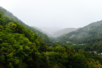 Fototapeta premium Rain over forest mountains. Misty mountain landscape hills at rainy day.