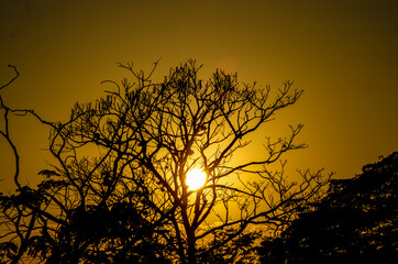 Beautiful sunset colors revealing beautiful silhouettes