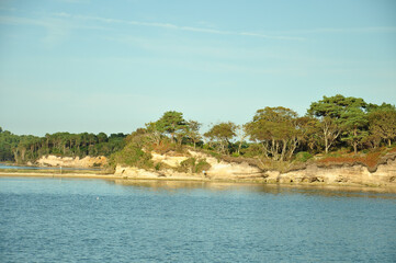 Summertime scenery on Brownsea Island, Dorset, England.