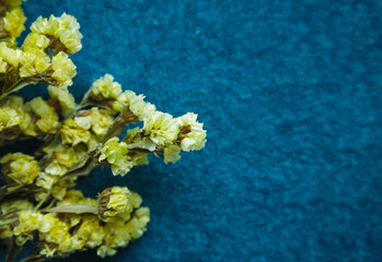 Yellow flowers on a blue background. Copy space.