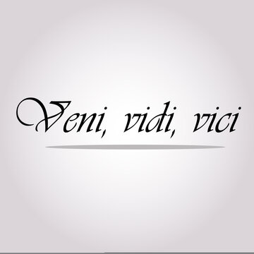 Veni vidi vici latin quote poster translation i Vector Image