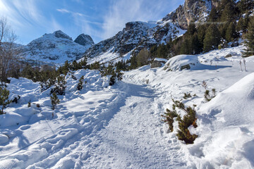 Fototapeta na wymiar Winter landscape of Malyovitsa peak, Rila Mountain, Bulgaria