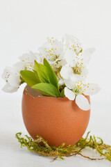 Bunch of white flowers in egg shells isolated on white background. Easter decoration with flowers in egg shells. Copy space