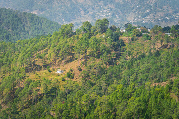 Panoramic view from Binsar, Uttarakhand, India.