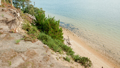 Cliff edge on the beach.