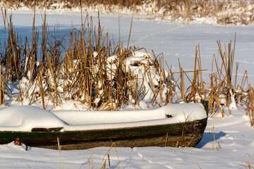 Zima w Narwiańskim Parku Narodowym, Podlasie, Polska © podlaski49
