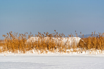 Zima w Narwiańskim Parku Narodowym, Podlasie, Polska © podlaski49