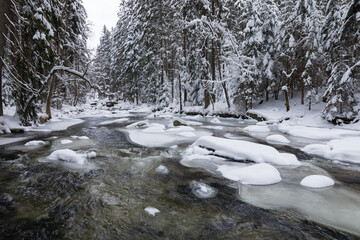 Fototapeta na wymiar Wild river in winter with old stone bridge at Zemska Brana nature reserve, Orlicke hory, Eagle mountains, Eastern Bohemia Czech republic. Beautiful frosty day. Snowy weather in mountain. Most popular