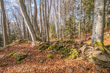 Alte mit Steinen gebaute verfallene Kloster Ruine auf der Rusel und Ruselabsatz nähe Geisslinger Stein Königstein und Hausstein im bayerischen Wald bei Deggendorf und Regen, Deutschland