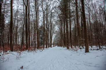 Winterwanderung am Gelterswoog, im Schnee, Kaiserslautern, Hohenecken, Strandbad, Wald , Naherholungsgebiet