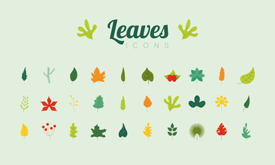 bundle of colors leaves nature icons and lettering