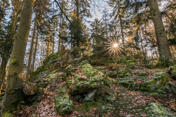Der Berg Gipfel des Hausstein bei der Rusel Ruselabsatz nähe Geisslinger Stein Königstein im bayerischen Wald bei Deggendorf und Regen, Deutschland