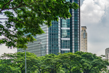 Obraz premium Futuristic financial tower and trees at the park outside building