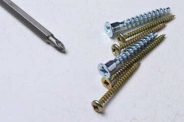 several screws and a bit from a screwdriver lie on a light background. close-up.
