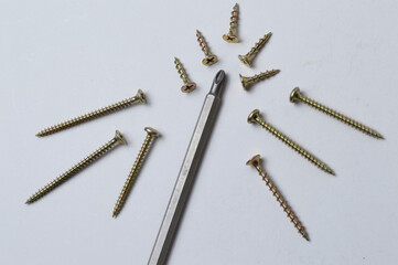 several screws and a bit from a screwdriver lie on a light background. close-up.