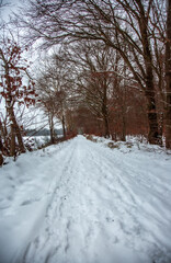 Winterwanderung am Gelterswoog, im Schnee, Kaiserslautern, Hohenecken, Strandbad, Wald , Naherholungsgebiet