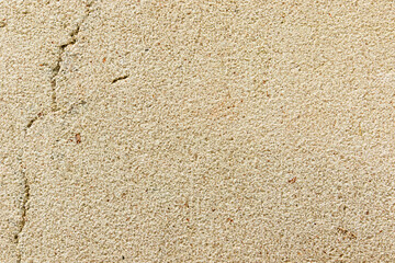 Apply sand rubbing plaster to masonry on concrete. Clean sand textured plaster surface texture.