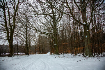 Winterwanderung am Gelterswoog, im Schnee, Kaiserslautern, Hohenecken, Strandbad, Wald , Naherholungsgebiet