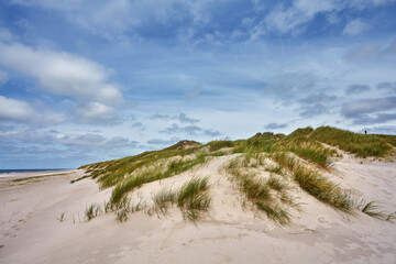 sanddunes under vivid blue sky at the North Sea Coast in Denmark on a sunny summer day