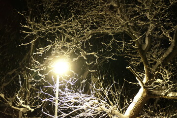 frostige Winternacht w