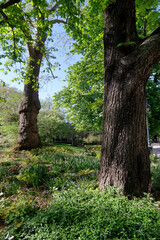 Montsouris park in Paris 14th arrondissement