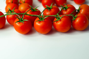 Covered with drops of water, fresh tomatoes with sprigs on white background