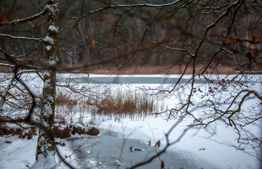 Winterwanderung am Gelterswoog, im Schnee, Kaiserslautern, Hohenecken, Strandbad, Wald , Naherholungsgebiet