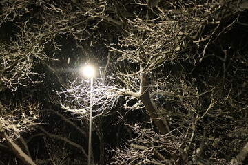 Winternacht