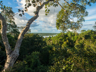 Fototapeta premium View of the Javari River