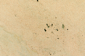 Apply sand rubbing plaster to masonry on concrete. Clean sand textured plaster surface texture.