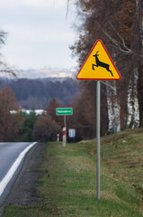 Road in Poland with deer crossing warning sign