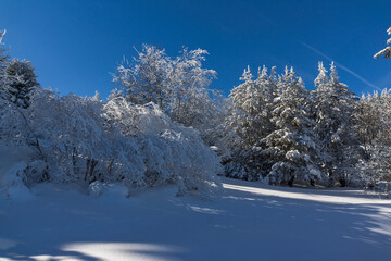 Winter landscape of Vitosha Mountain, Bulgaria