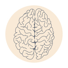 Human brain in circle. Medicine, anatomy, physiology, health. Vector illustration. Healthcare poster or banner template.