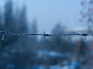 Wire fence covered with frost. Barbed wire covered with frost.