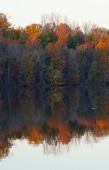 Colorful autumn foliage reflecting in the water in New Jersey, United States
