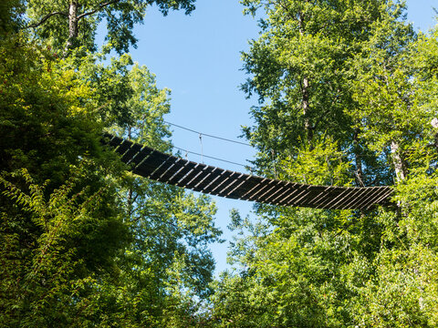 Wooden suspension bridge walkway in Huilo Huilo Biological Reserve, Los Ríos Region, Chile.